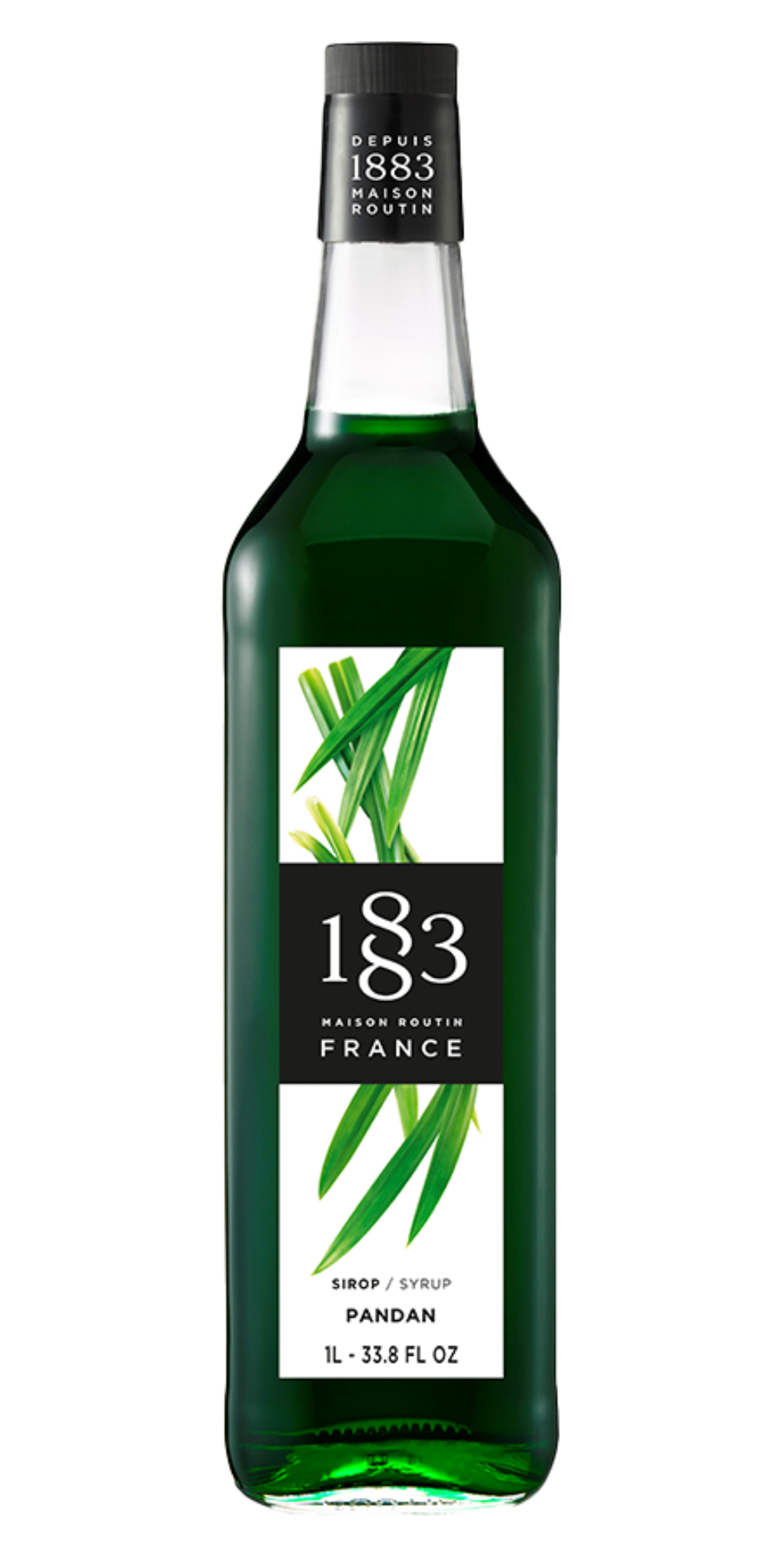 1883 Maison Routin Sirup Pandan Geschmack