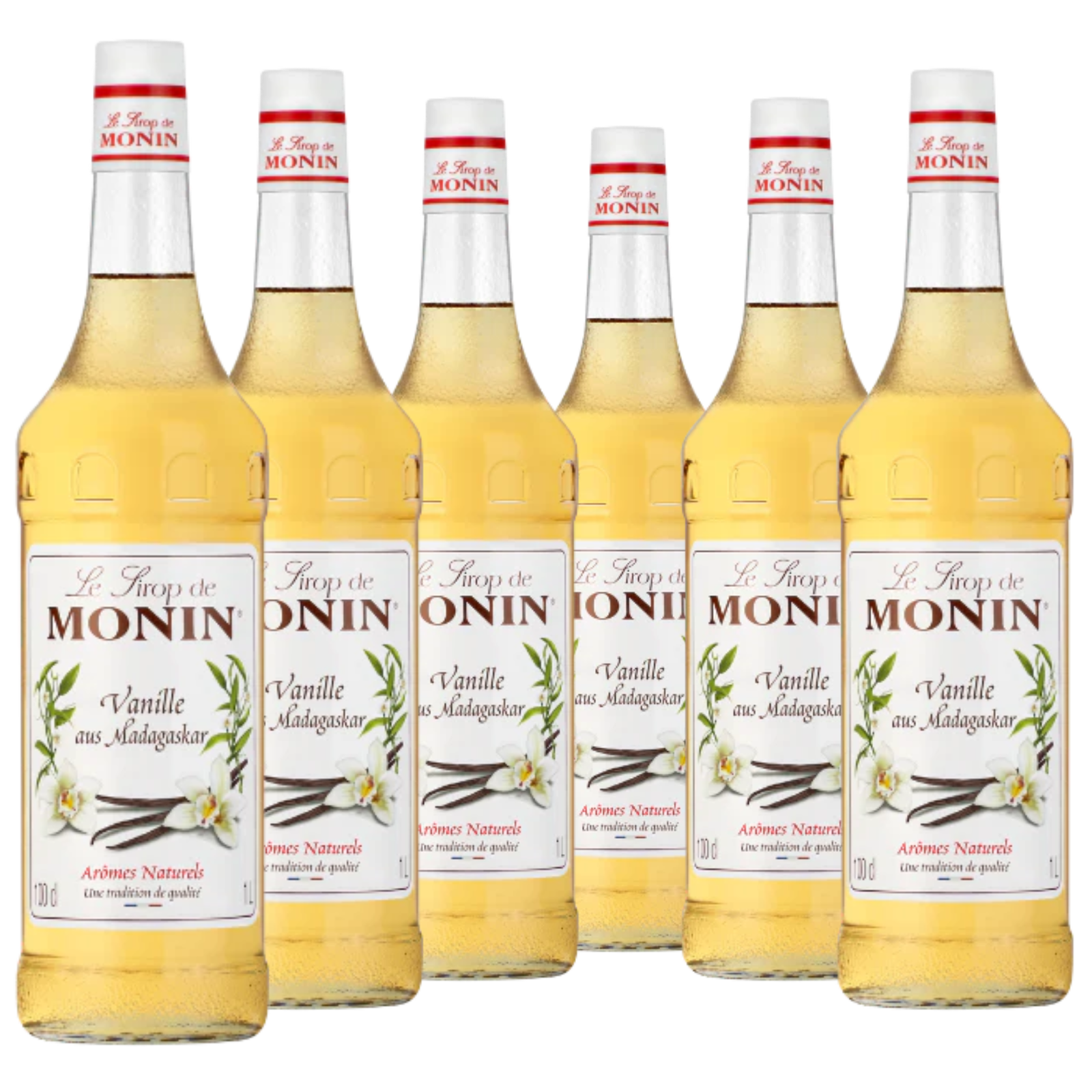 6 × Monin Sirup Vanille aus Madagaskar 1L