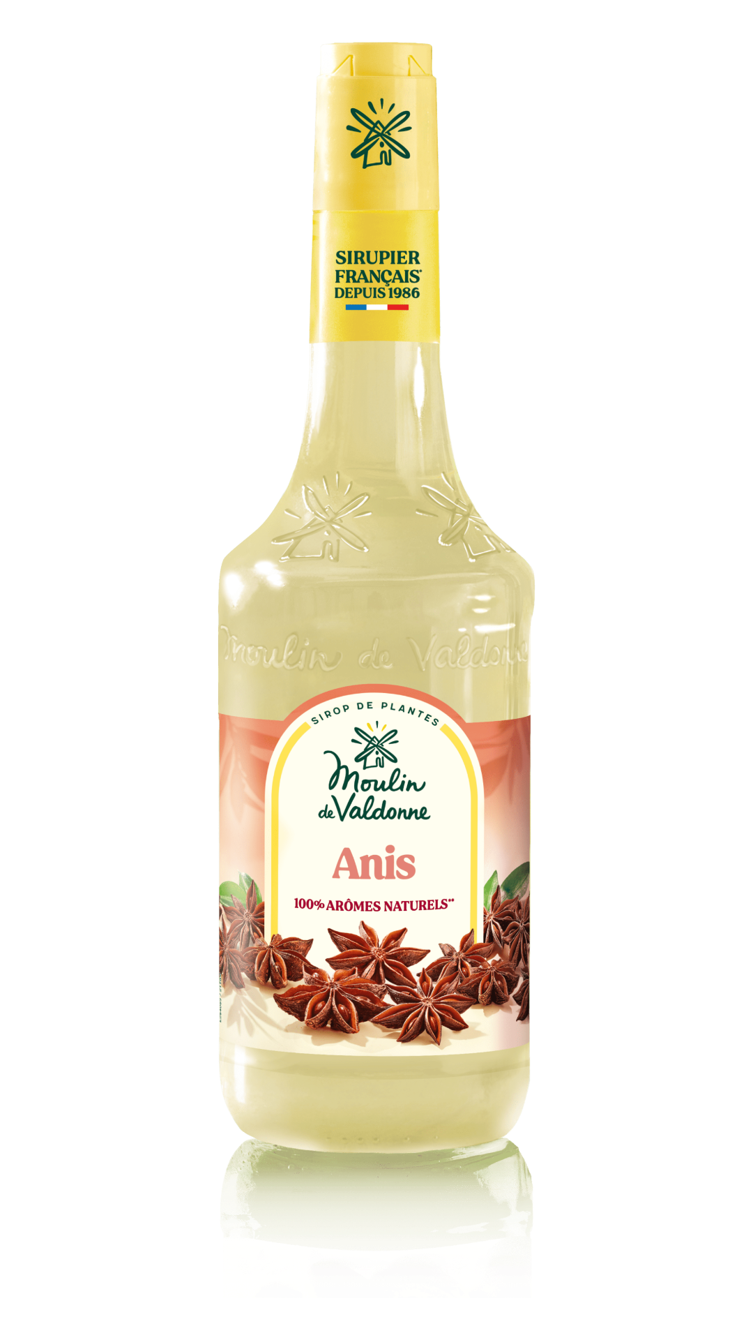 Moulin de Valdonne Sirup Anis